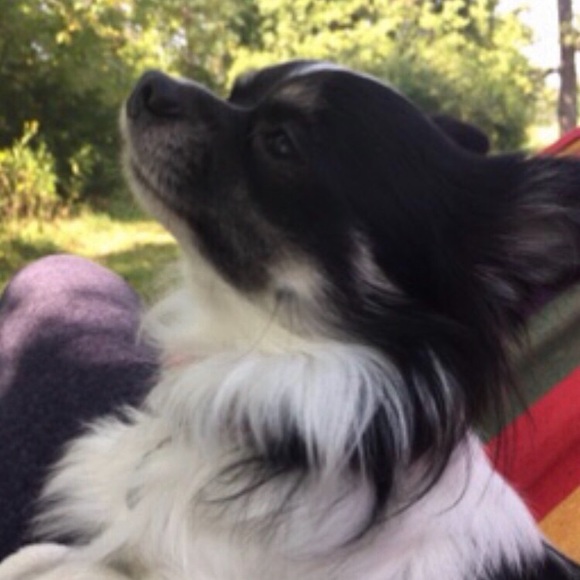 Meet your Posher, Mary - Picture 11 of 16